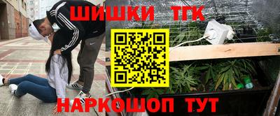 спиды Гатчина