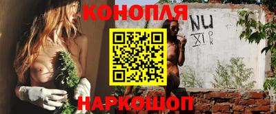 спиды Гатчина